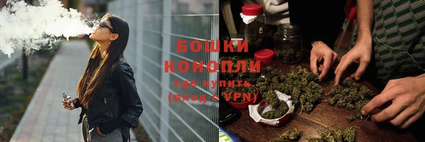 apvp Осинники