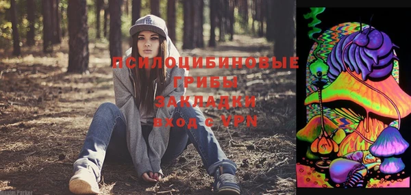 амфетамин Алексин
