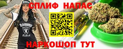 шишки Тара