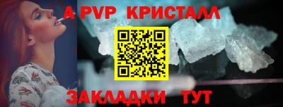 шишки Тара