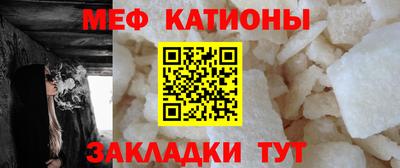 шишки Тара