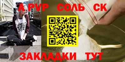 шишки Тара